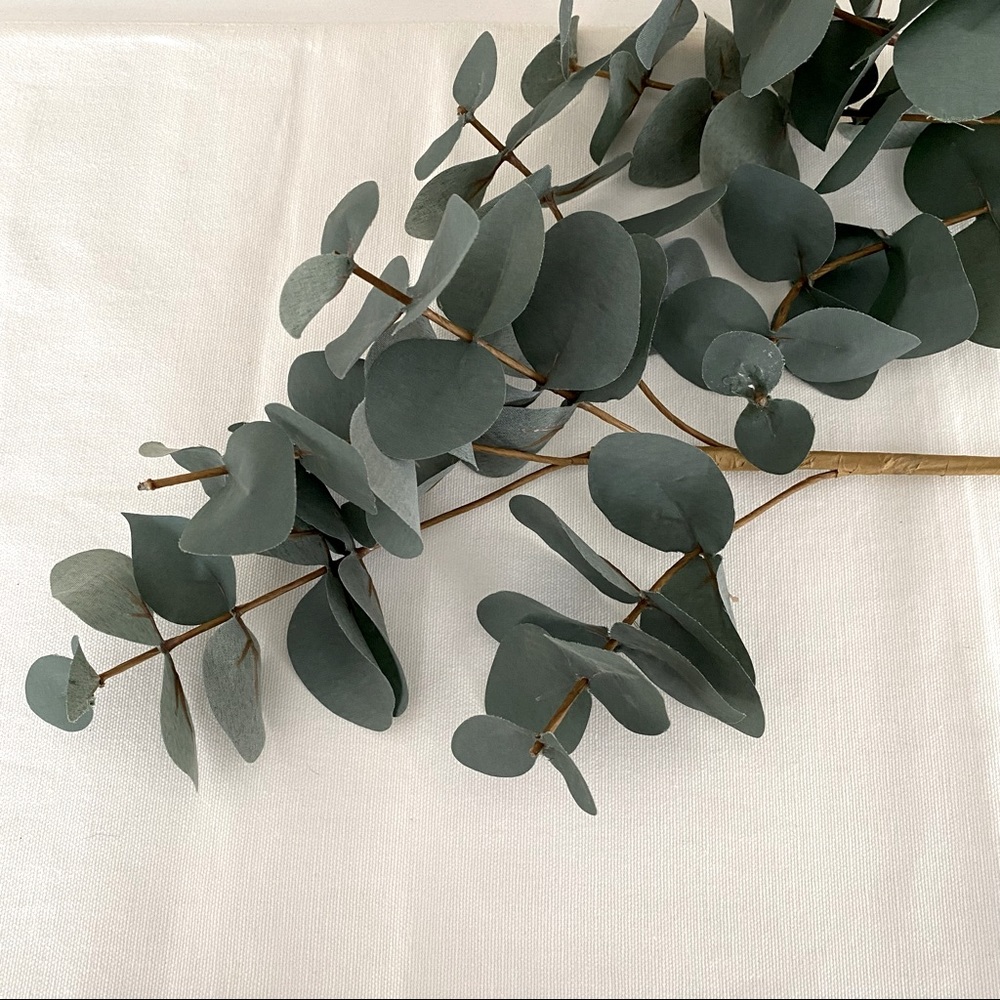 ❌SOLD❌ TARGET Faux Eucalyptus Stems (2) - Picture 2 of 4